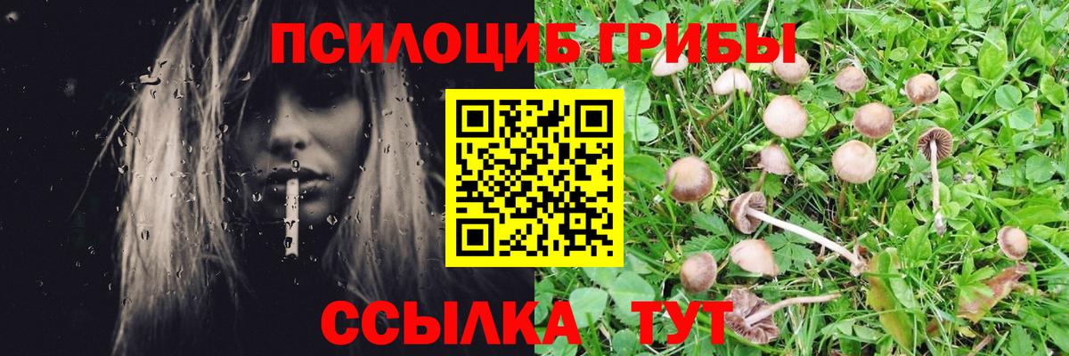 Псилоцибиновые грибы мухоморы Чернушка