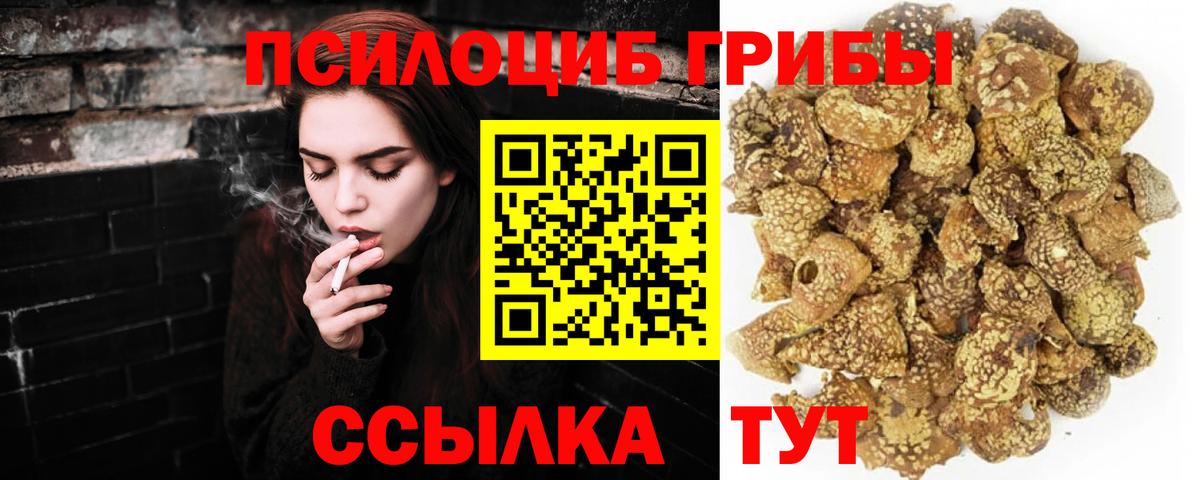Чернушка  цены наркотик  Вход с VPN  Псилоцибиновые грибы мухоморы 